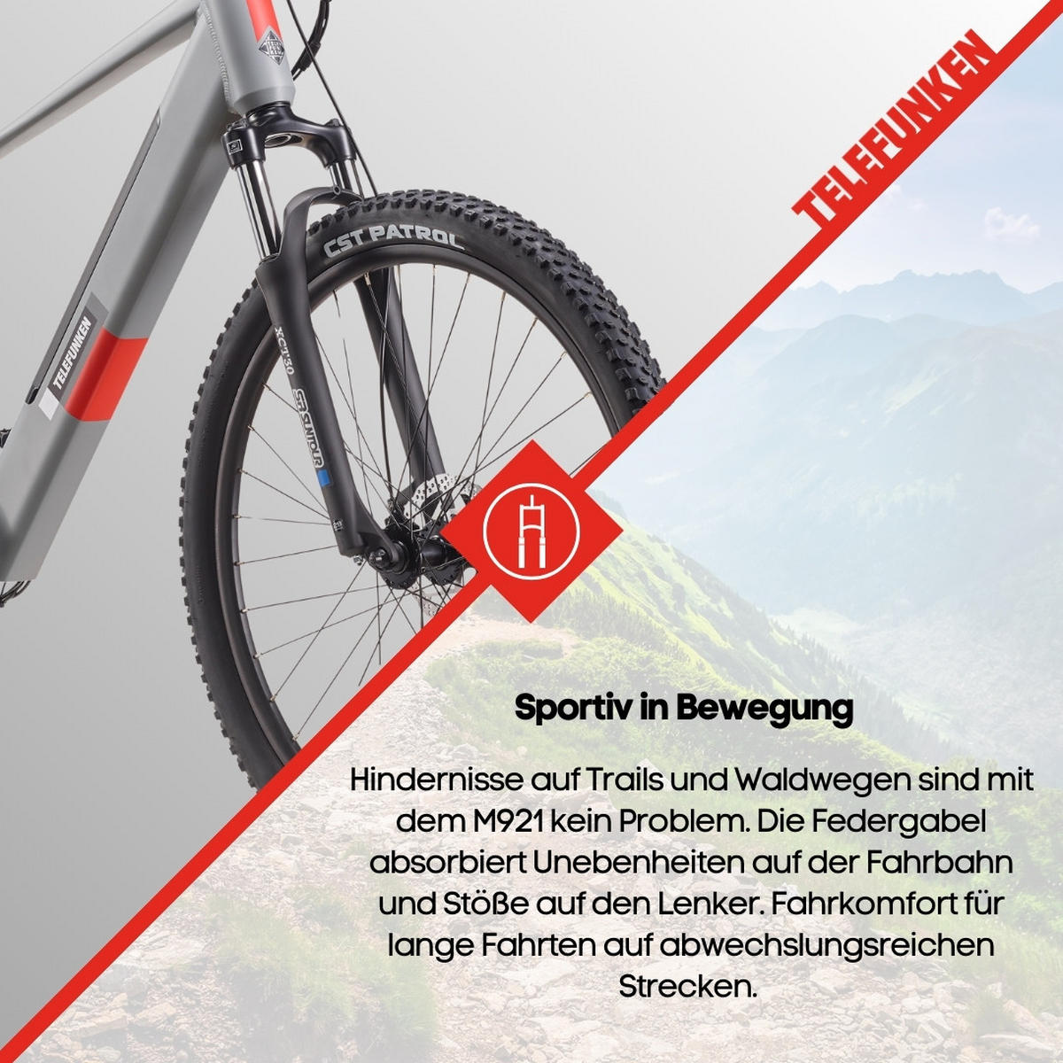 E-BIKE Mountainbike Aufsteiger M921 | Für Damen u. Herren | 468 Wh | Heckmotor | 7-Gang-Kettenschaltung | 29 Zoll - Grau, Metall (114.6cm) - Telefunken