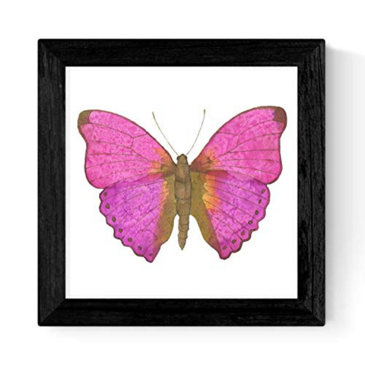 POSTER Set mit 4 Schmetterlinge 30x30 cm Schwarzer Rahmen - Schwarz, Papier (30/3cm) - Nacnic