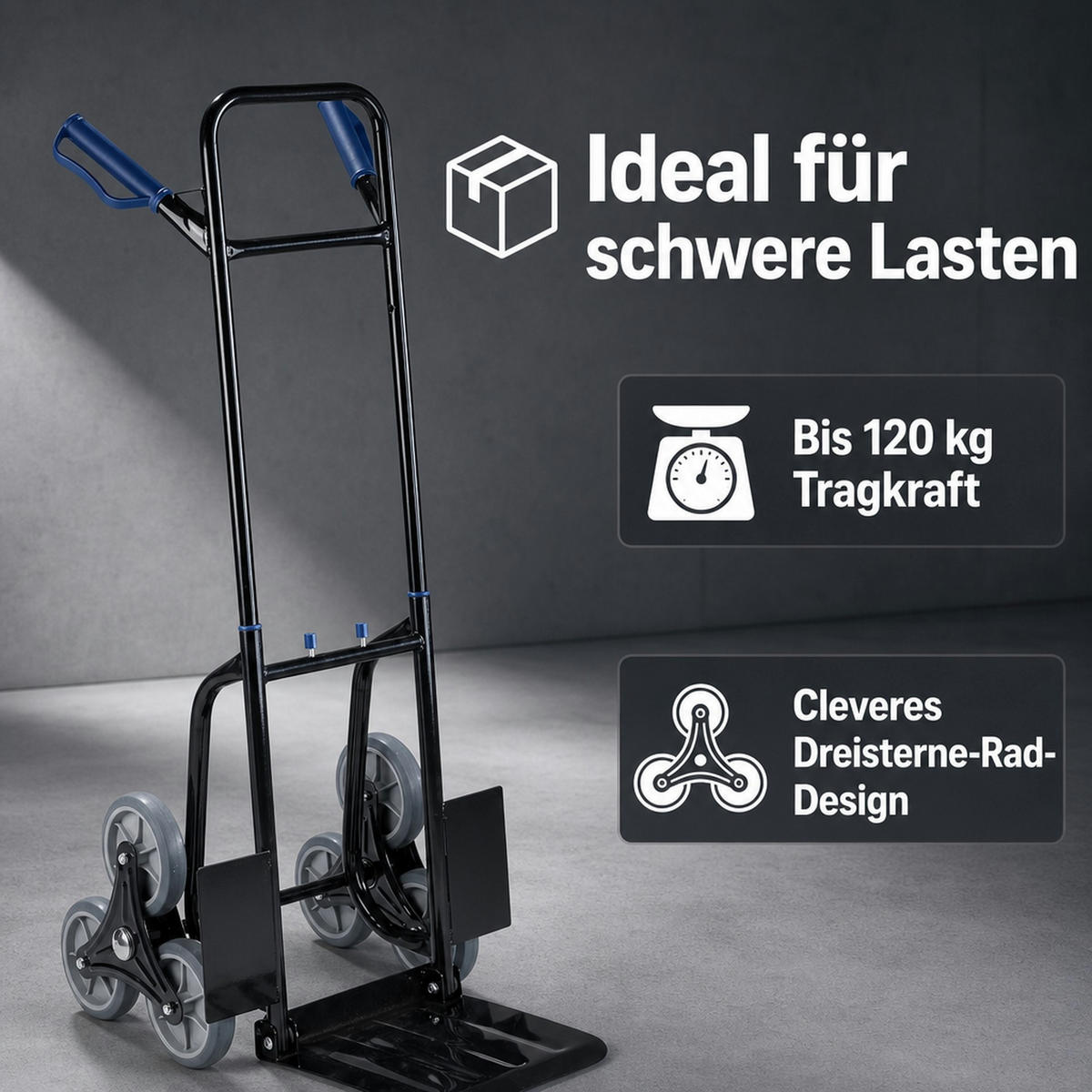 TREPPEN-SACKKARRE klappbar - Alufarben, Metall (110/47.5/60cm) - Westfalia