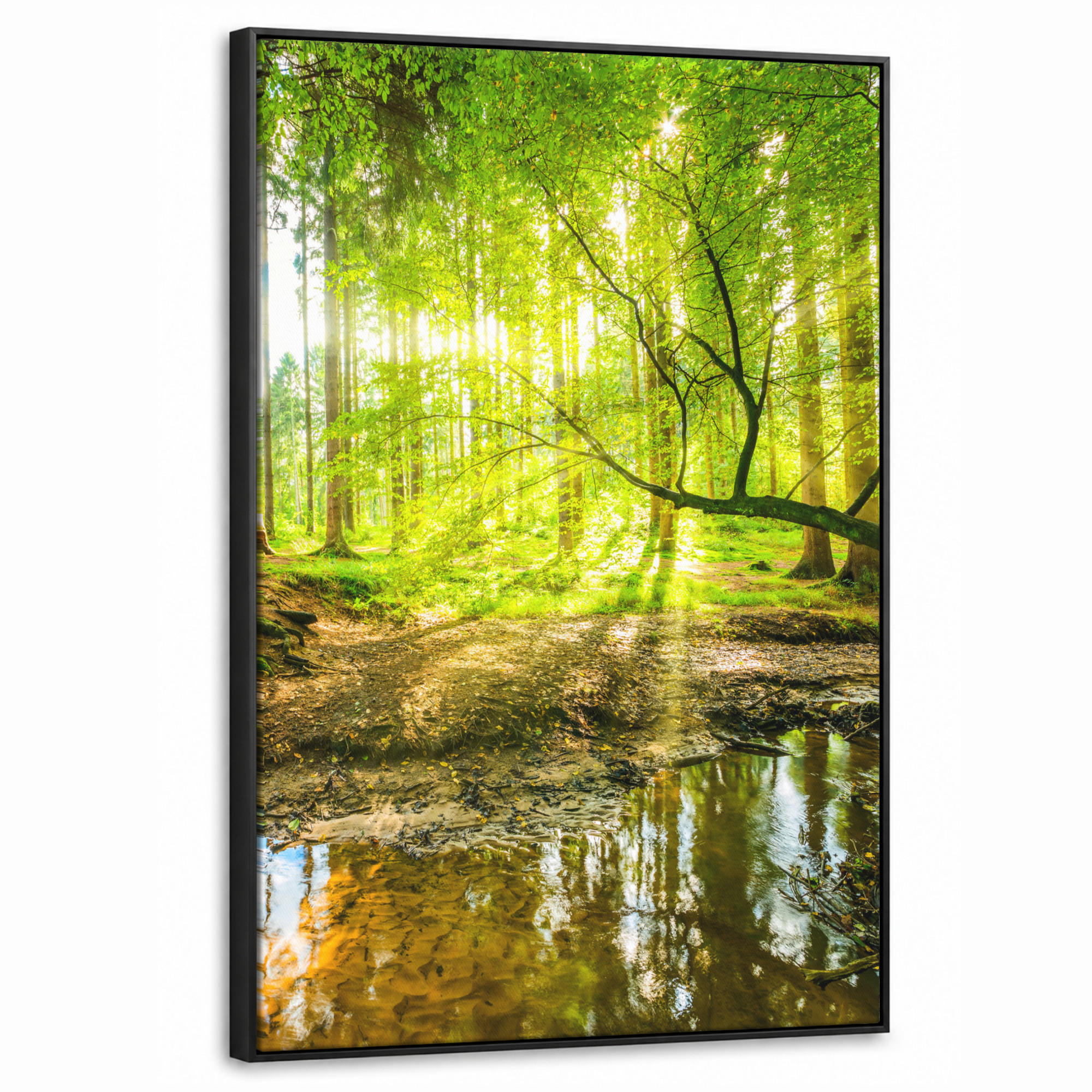 LEINWAND Bilder mit Rahmen - Wald - Landschaft - Wasser - Bäume - Sonne - Grün - Natur - 60x90 - Grün, Textil (60/90cm) - MuchoWow
