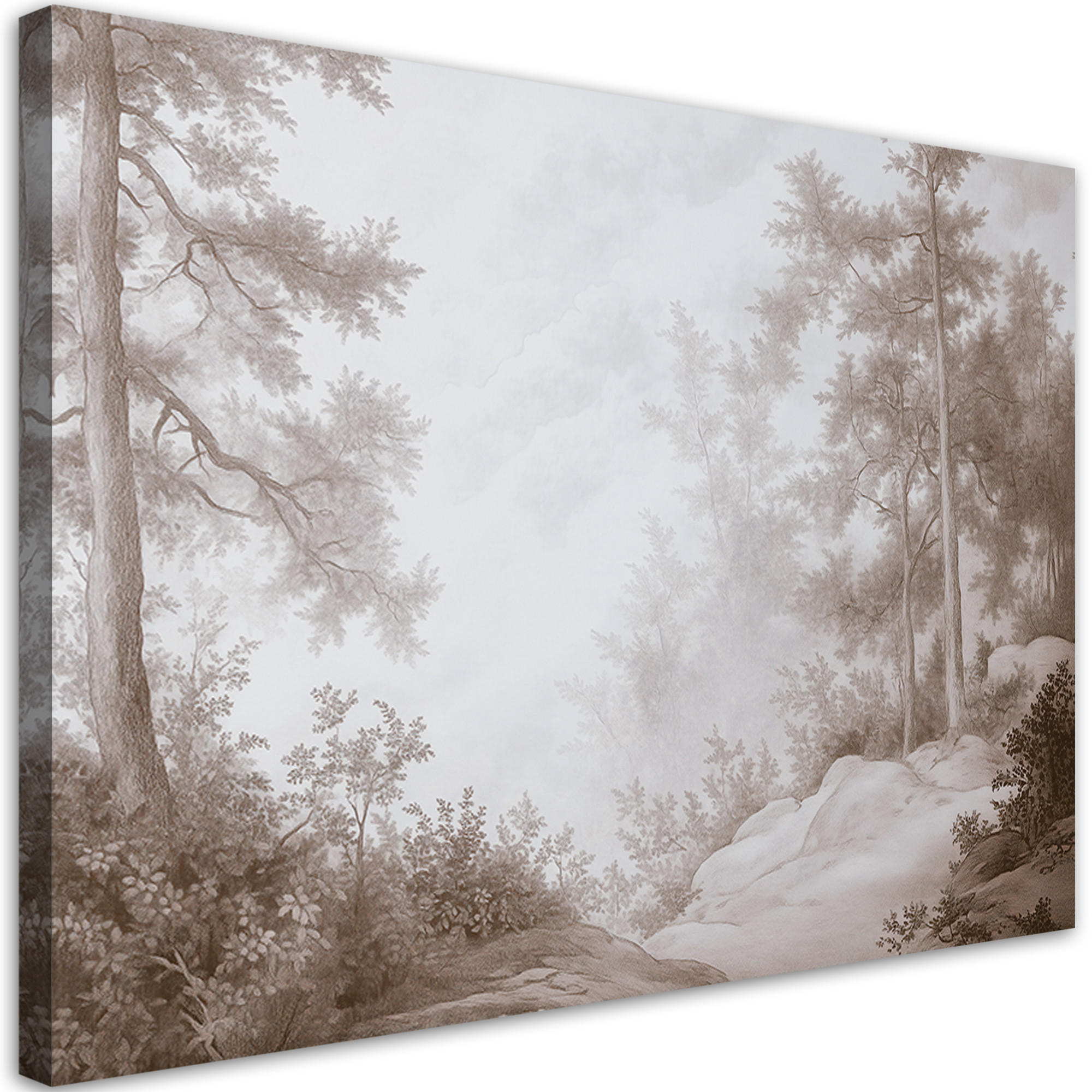 WANDBILD wald im nebel - Braun, Textil (60/40cm) - Feeby