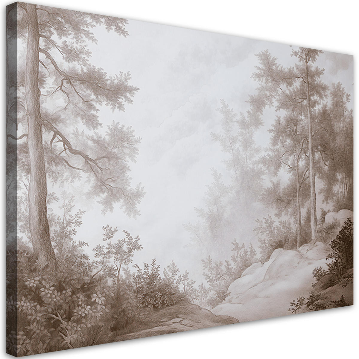 WANDBILD wald im nebel - Braun, Textil (60/40cm) - Feeby