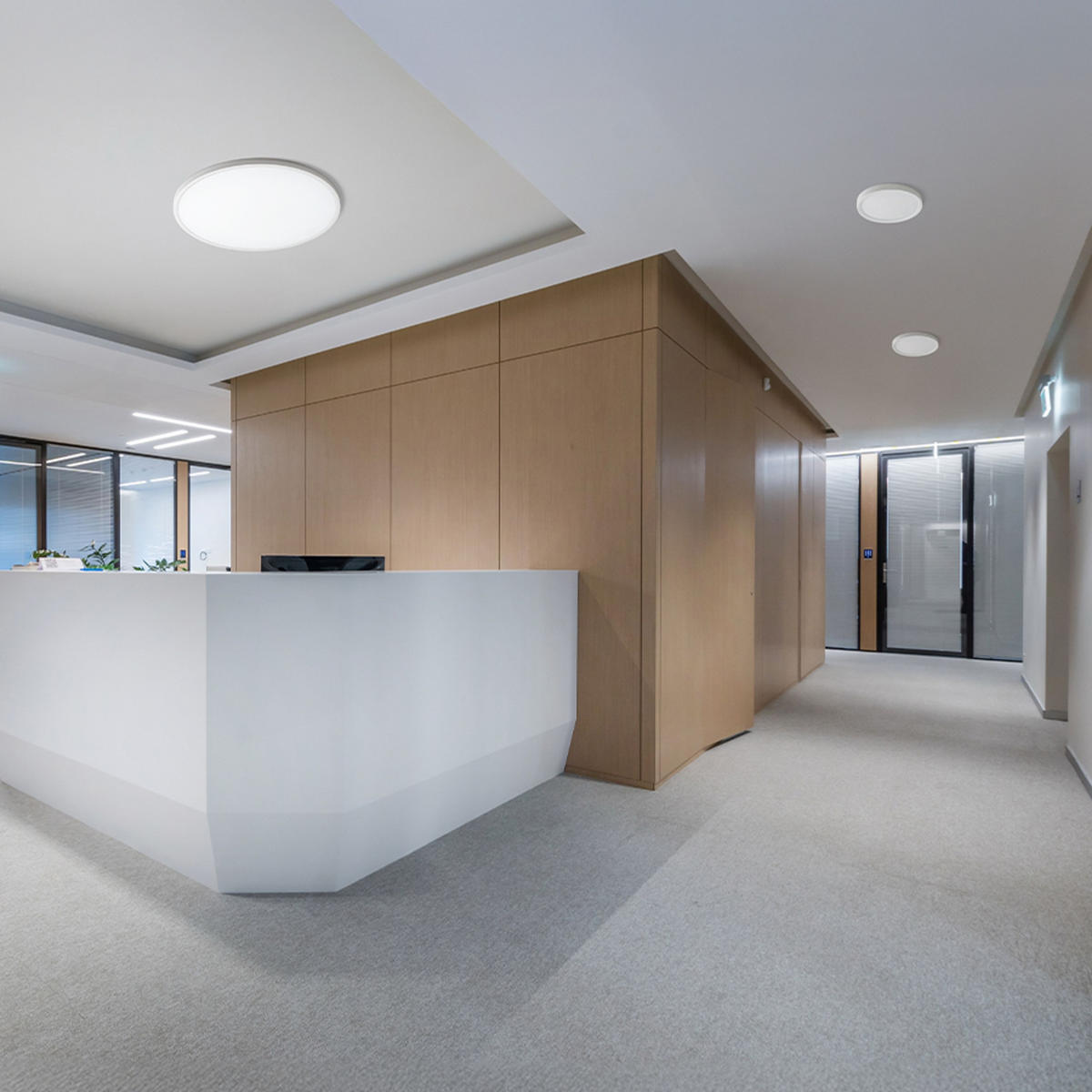 AUFBAULEUCHTE LANA 60 Dekor Buche/Kunststoff 50 W - Buchefarben, Holz (60/60/2.5cm)