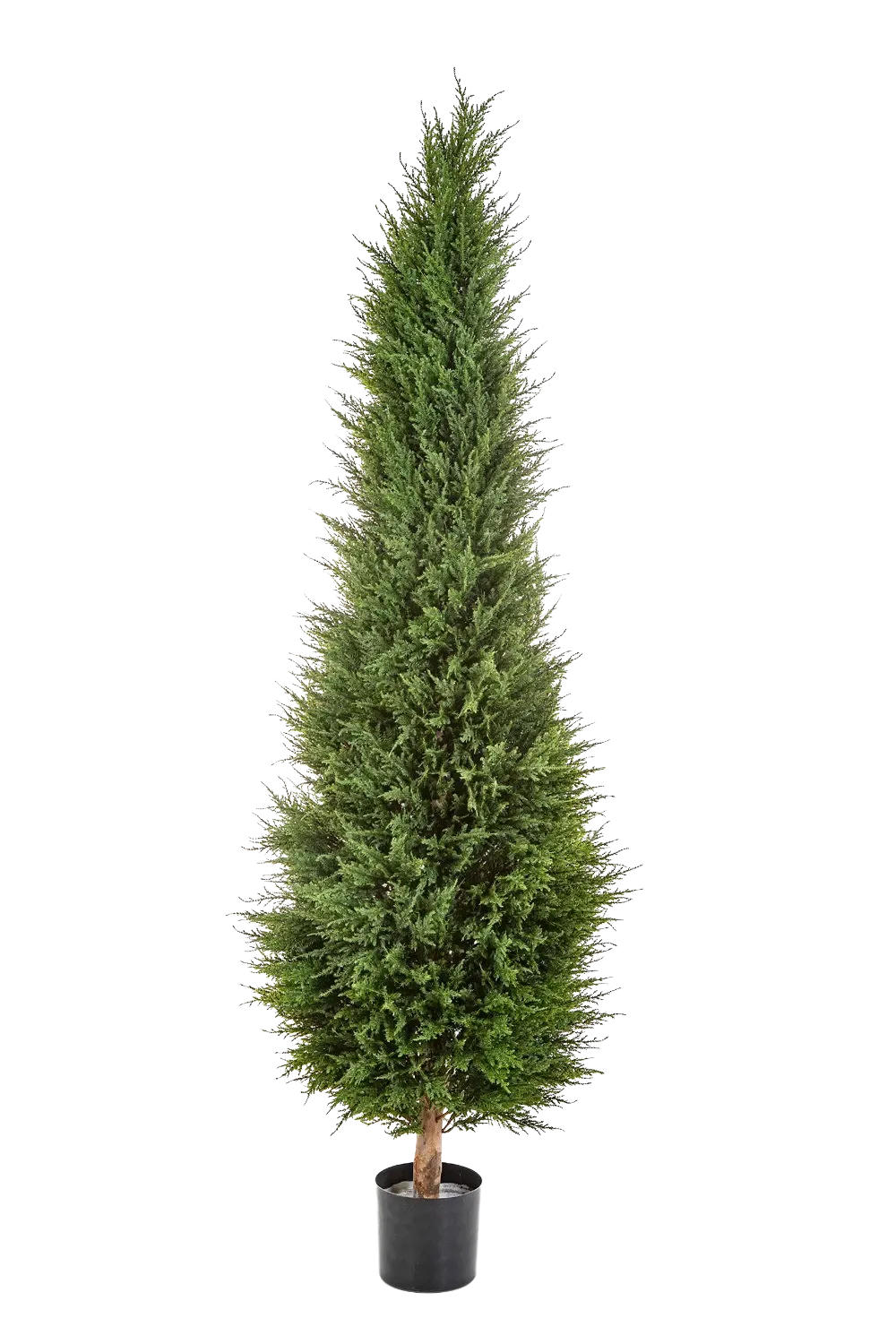 KUNSTBAUM Künstliche Zypresse - Philip 180 cm - Grün, Kunststoff (180cm) - aplanta