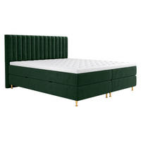 BOXBETT Elegance - Goldfarben/Grün, Holz/Textil (140/200cm) - MIRJAN24