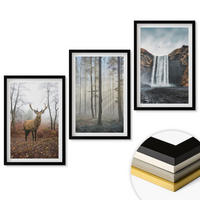 WANDBILDER 3er-Set - 40x60 cm Schwarzer Rahmen - Waldlandschaften, wilde Natur - Schwarz, Kunststoff (40/60cm) - ArtPrintCave