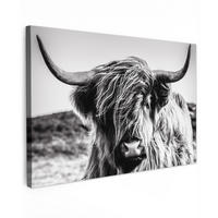 LEINWANDBILD Kuh - Schottischer Hochländer - Schwarz - Weiß - Tier - Natur - Wildtiere XXL 150x100 cm - Schwarz, Textil (150/100cm) - MuchoWow