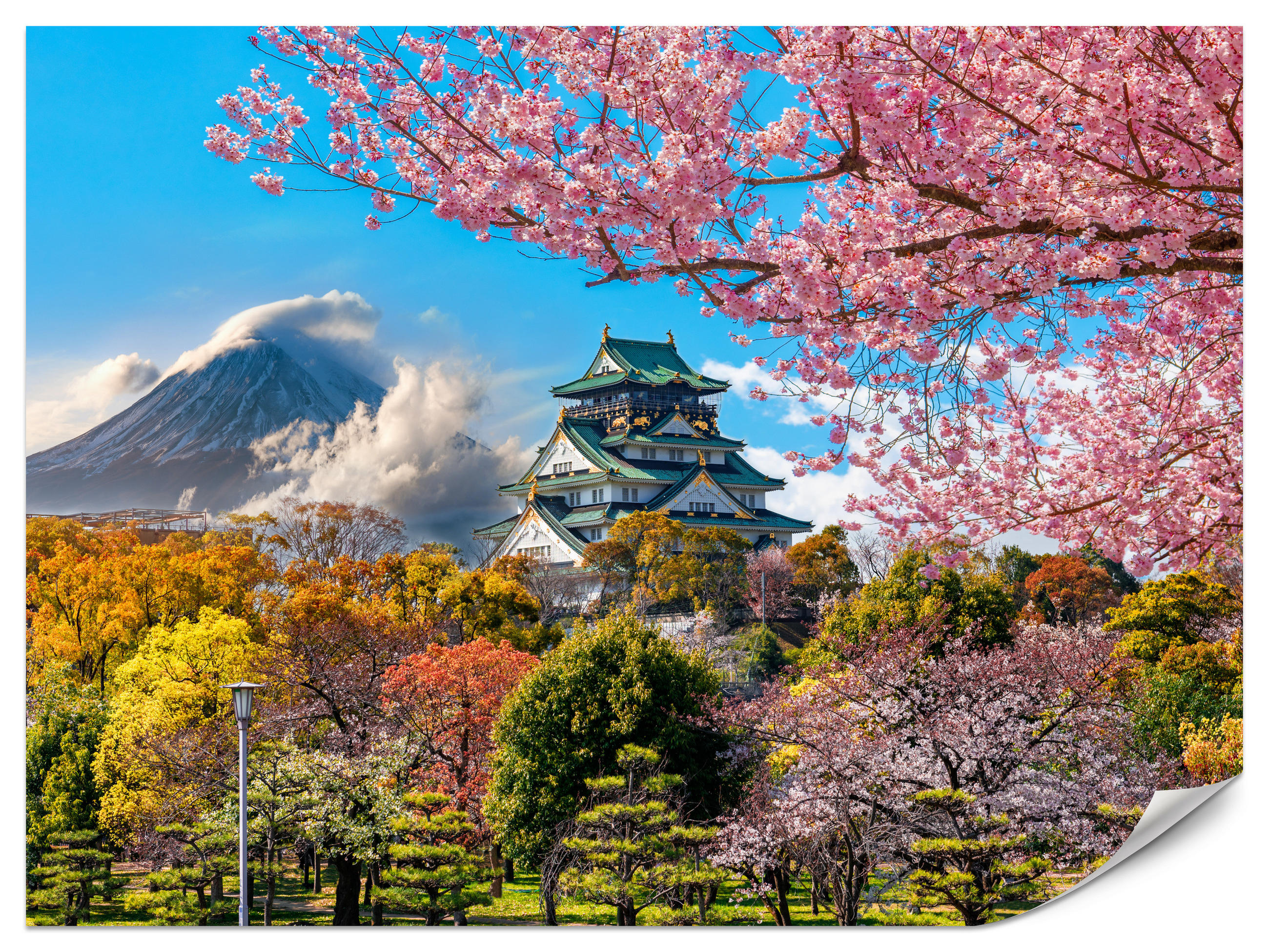 FOTOTAPETE für Wohnzimmer Kirschblüten Osaka Burg Japan Berge Bäume 200x140 - Gelb/Rosa, Papier (200/140cm) - Muralo
