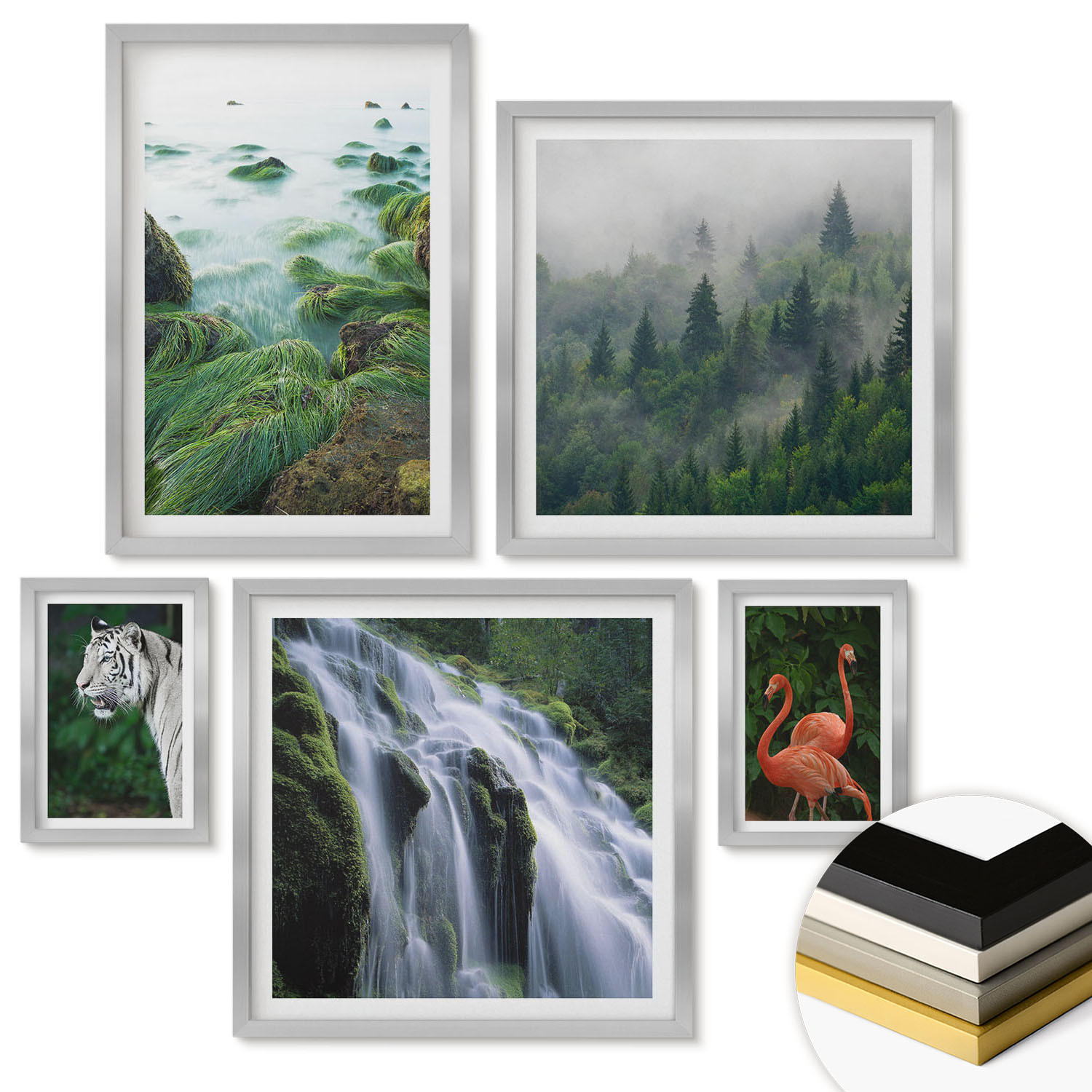 WANDBILDER 5er Set - 50x50 cm & 20x30 cm & 40x60 cm Silberner Rahmen - Tiger Wasserfall Flamingos Natur - Silberfarben, Kunststoff (40/60cm) - ArtPrintCave