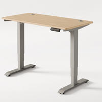 SCHREIBTISCH Elektrisch Höhenverstellbarer HomePro 120x60cm Grau/Bambus mit Memory-Funktion, Anti-Kollisions Technologie - Hellgelb/Grau, Holz (60/120/63.5cm) - Desktronic