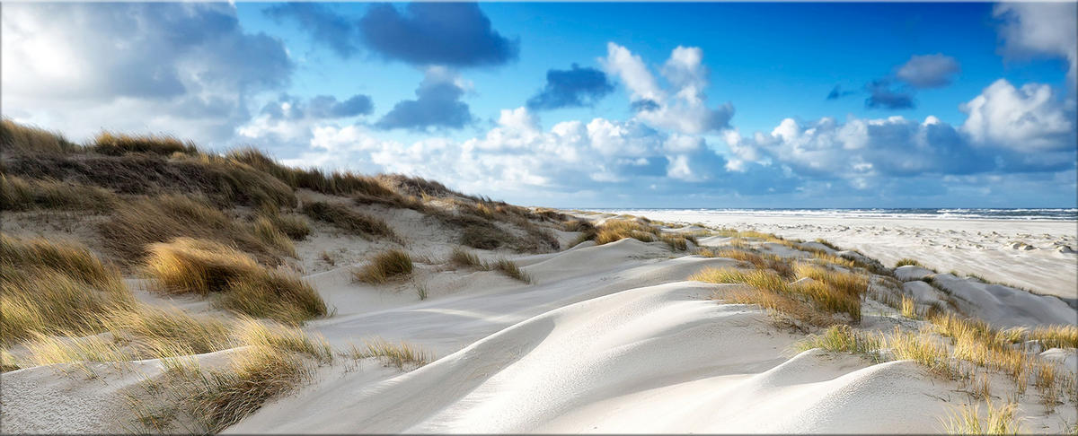 GLASBILD 125x50 cm Strand Dünen beige blau - Beige, Glas (125/50cm) - artissimo