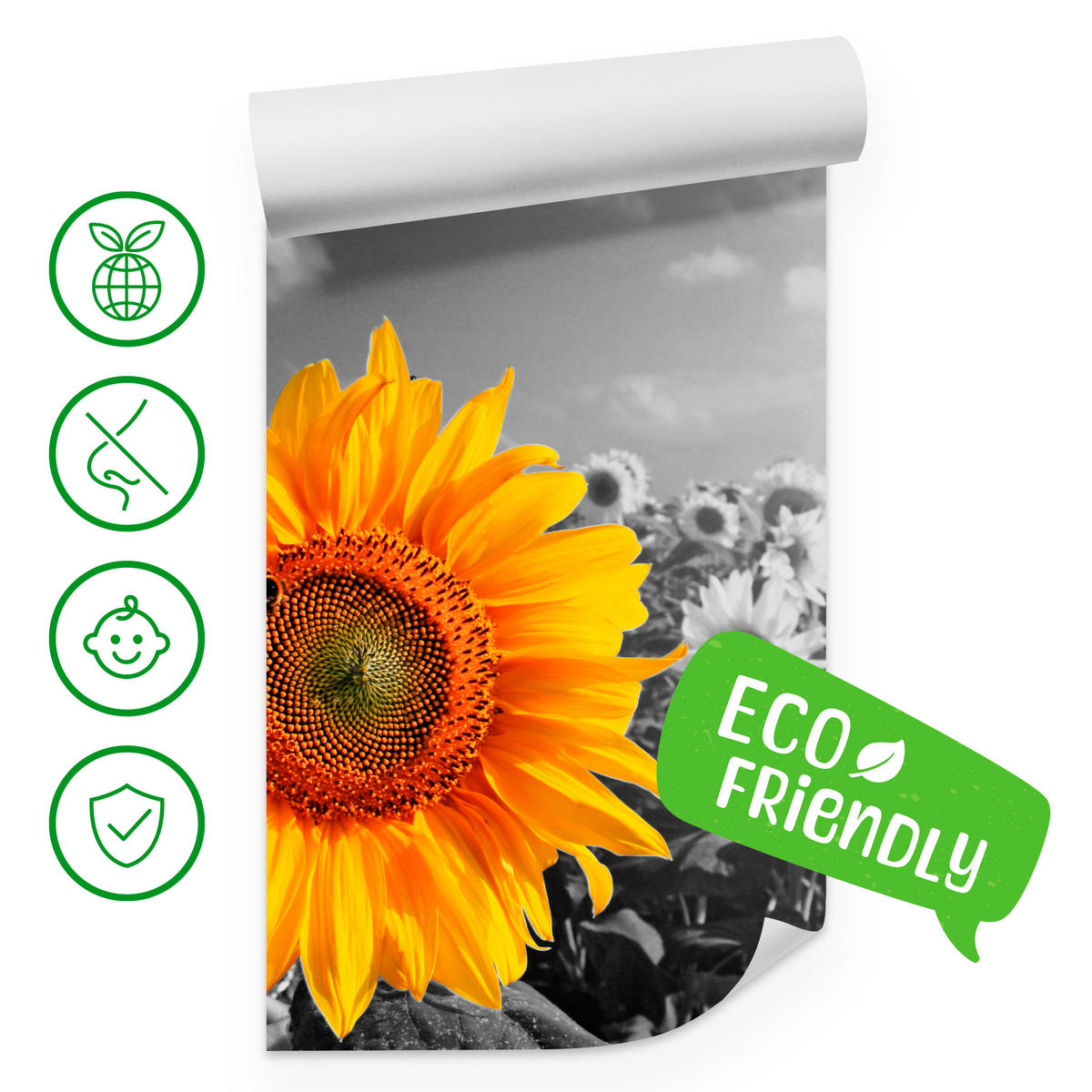 FOTOTAPETE für Küche Gelber Sonnenblume Schwarz-Weiß Hintergrund 400x280 - Gelb/Orange, Papier (400/280cm) - Muralo