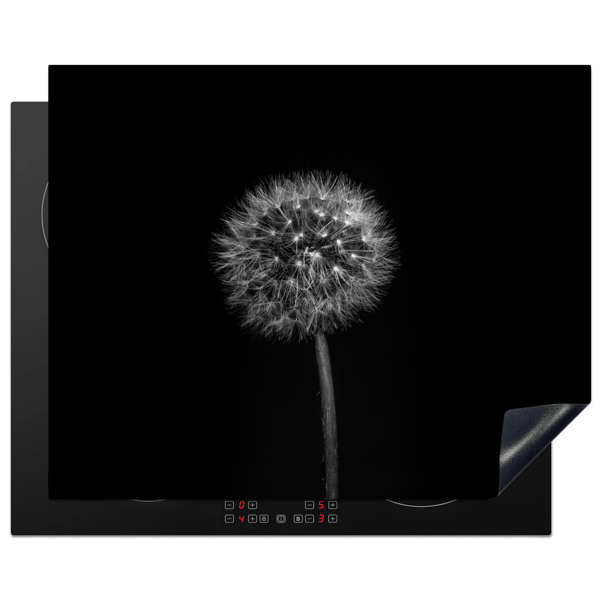 HERDABDECKPLATTE Löwenzahn - Schwarz - Floral - Botanisch 65x52 cm - Grau, Kunststoff (65/0.2/52cm) - MuchoWow