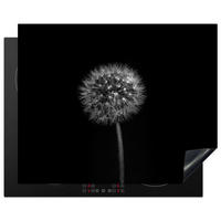 HERDABDECKPLATTE Löwenzahn - Schwarz - Floral - Botanisch 65x52 cm - Grau, Kunststoff (65/0.2/52cm) - MuchoWow