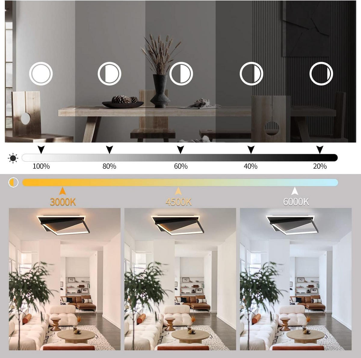 LED-DECKENLEUCHTE Alexander 48/48/6 cm - Schwarz, Metall (48/48/6cm) - Nettlife