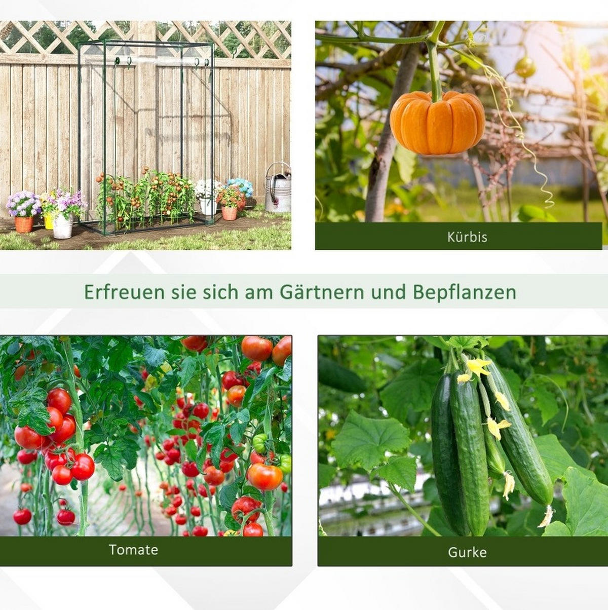 GEWÄCHSHAUS aus Kunststoff 100x50x150 cm in Transparent mit aufrollbarer Tür - Transparent, Kunststoff (50/150/100cm) - Modfu