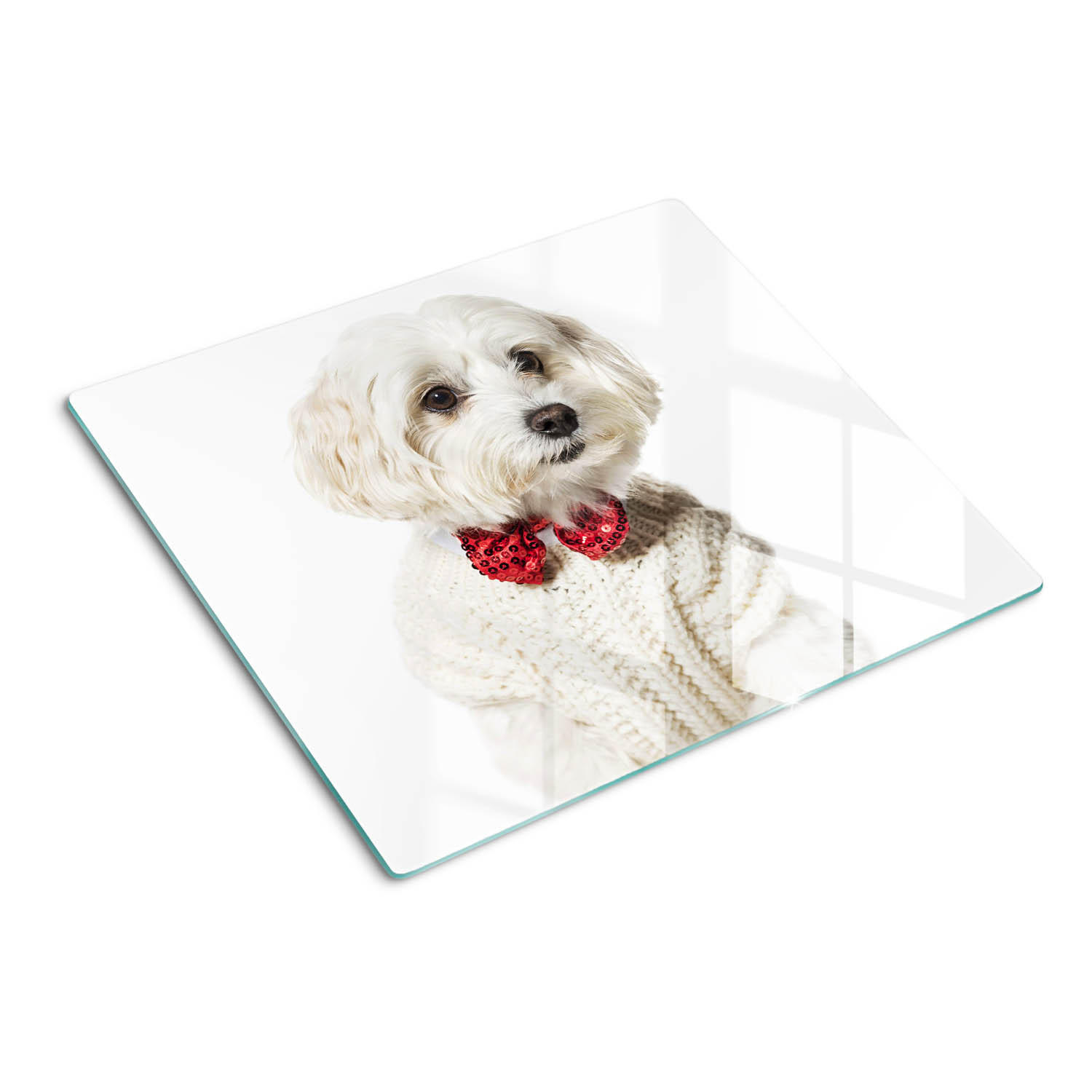 GLASPLATTE 60x52 cm Malteser Hund - Rot, Glas (60/52cm) - TULUP