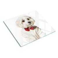 GLASPLATTE 60x52 cm Malteser Hund - Rot, Glas (60/52cm) - TULUP
