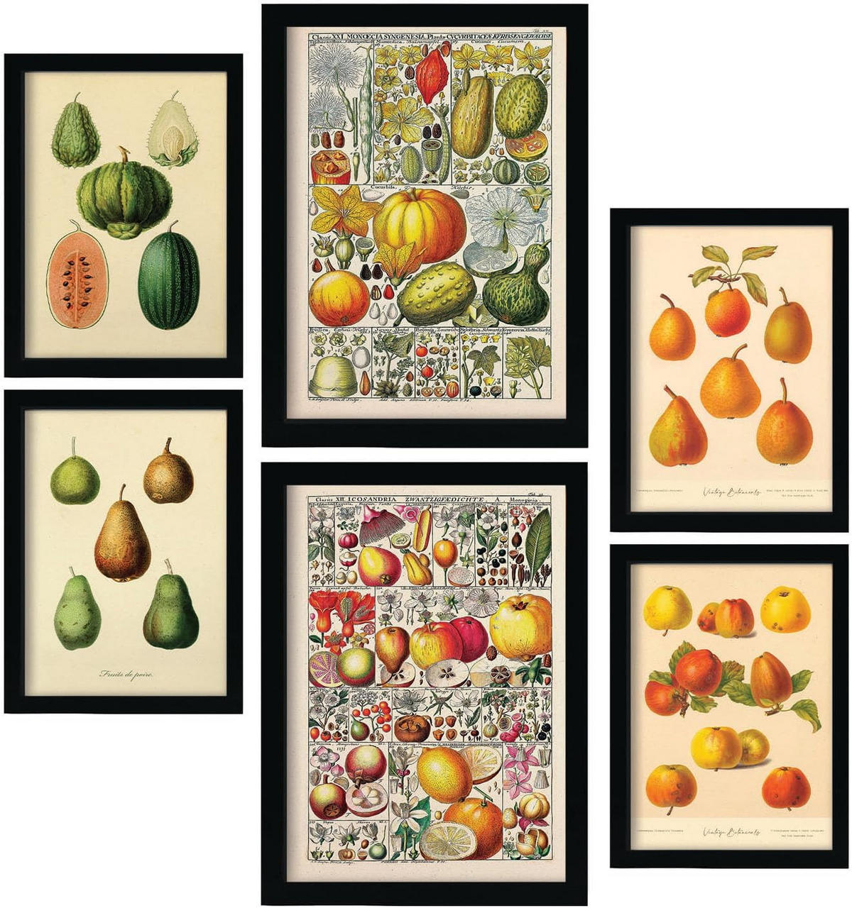 POSTER Set Mit 6 Mischen In Vintage A3 & A4 Weißer Rahmen - Weiß, Papier (29/3cm) - Nacnic