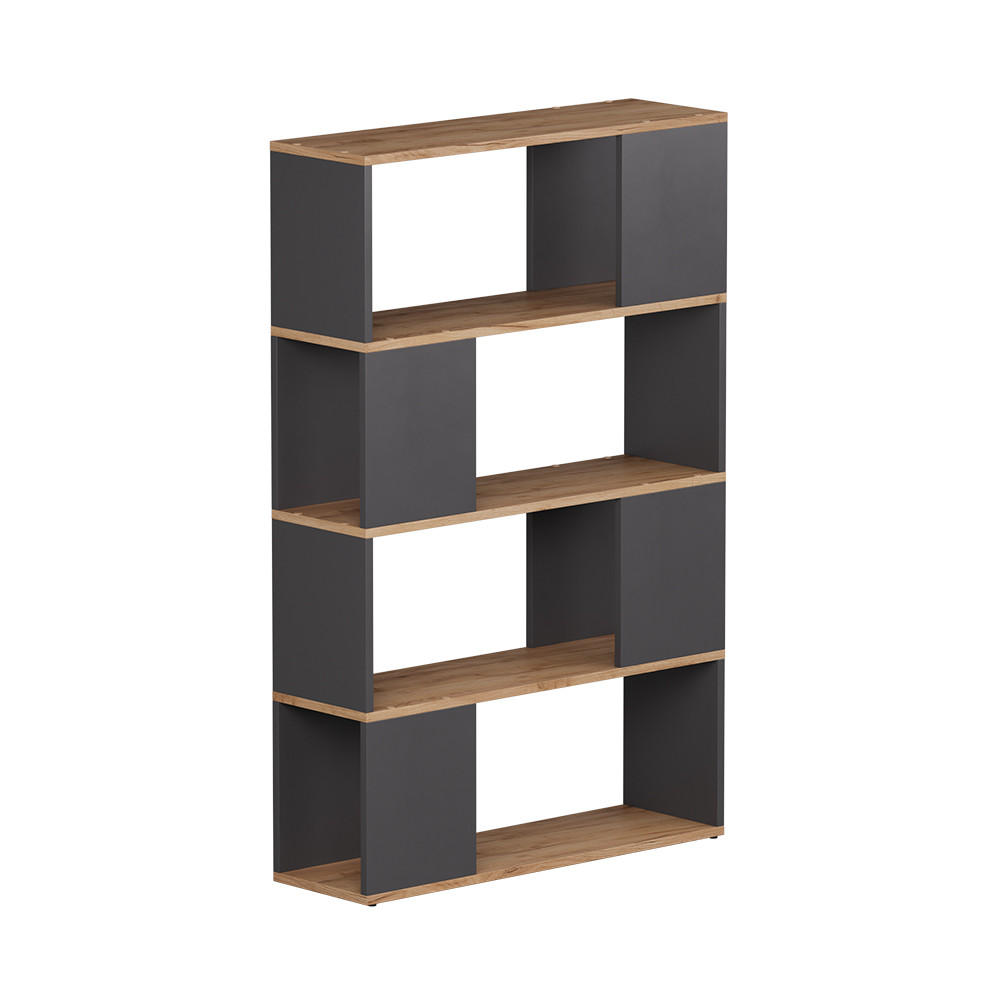 RAUMTEILER Eneos Anthrazit/Goldkraft Eiche 80 x 124.5 cm - Anthrazit/Eiche Wotan, Holzwerkstoff (80/124.5/24cm) - Vicco
