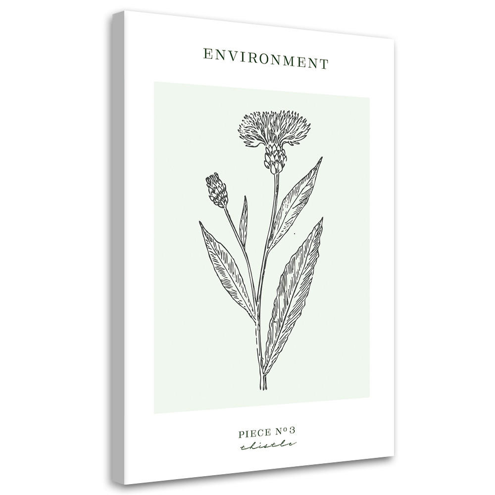 WANDBILD distelblume umwelt - Türkis, Textil (40/60cm) - Feeby