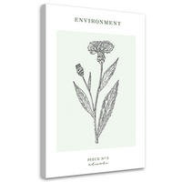 WANDBILD distelblume umwelt - Türkis, Textil (40/60cm) - Feeby