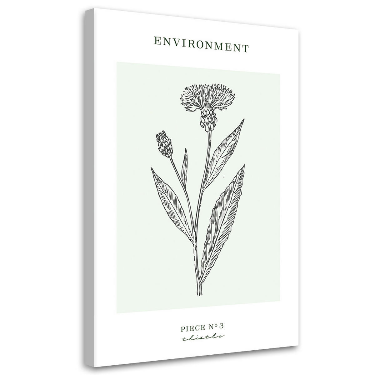 WANDBILD distelblume umwelt - Türkis, Textil (40/60cm) - Feeby