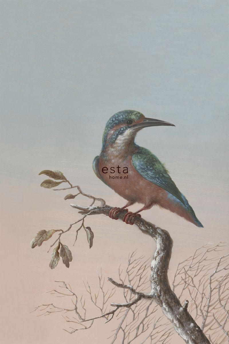 FOTOTAPETE Eisvogel auf Zweig 186 x 279 cm - Rot, Papier (186/279cm) - ESTAhome