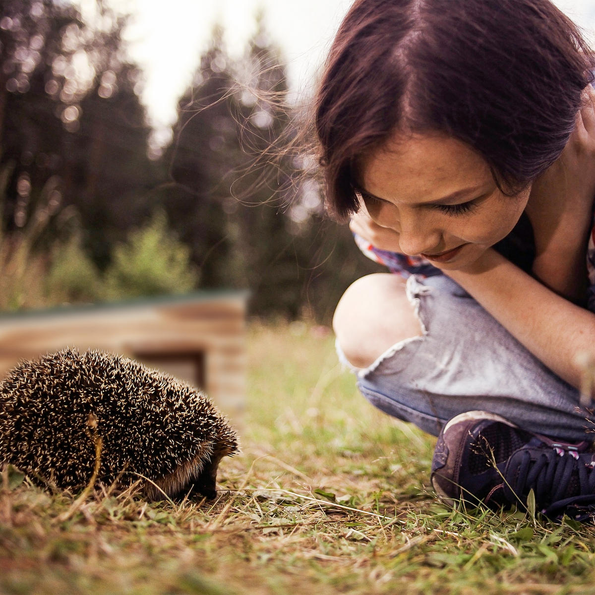 IGELHAUS - Braun, Holz/Kunststoff (40/21.5/40cm) - Relaxdays