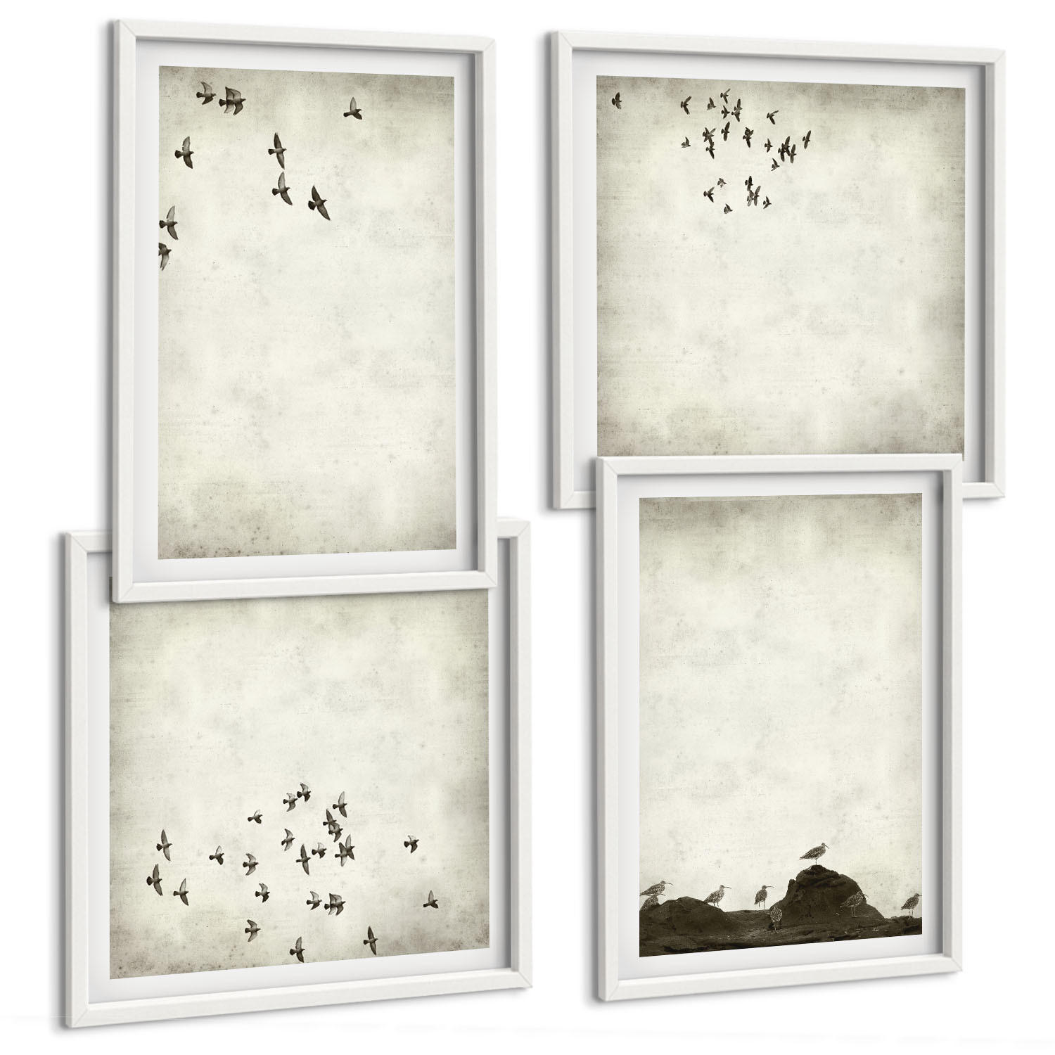 BILDER SET 4er Set - 50x50 cm & 40x60 cm Weißer Rahmen - Minimalistische Vogelmalerei - Weiß, Kunststoff (50/50cm) - TULUP
