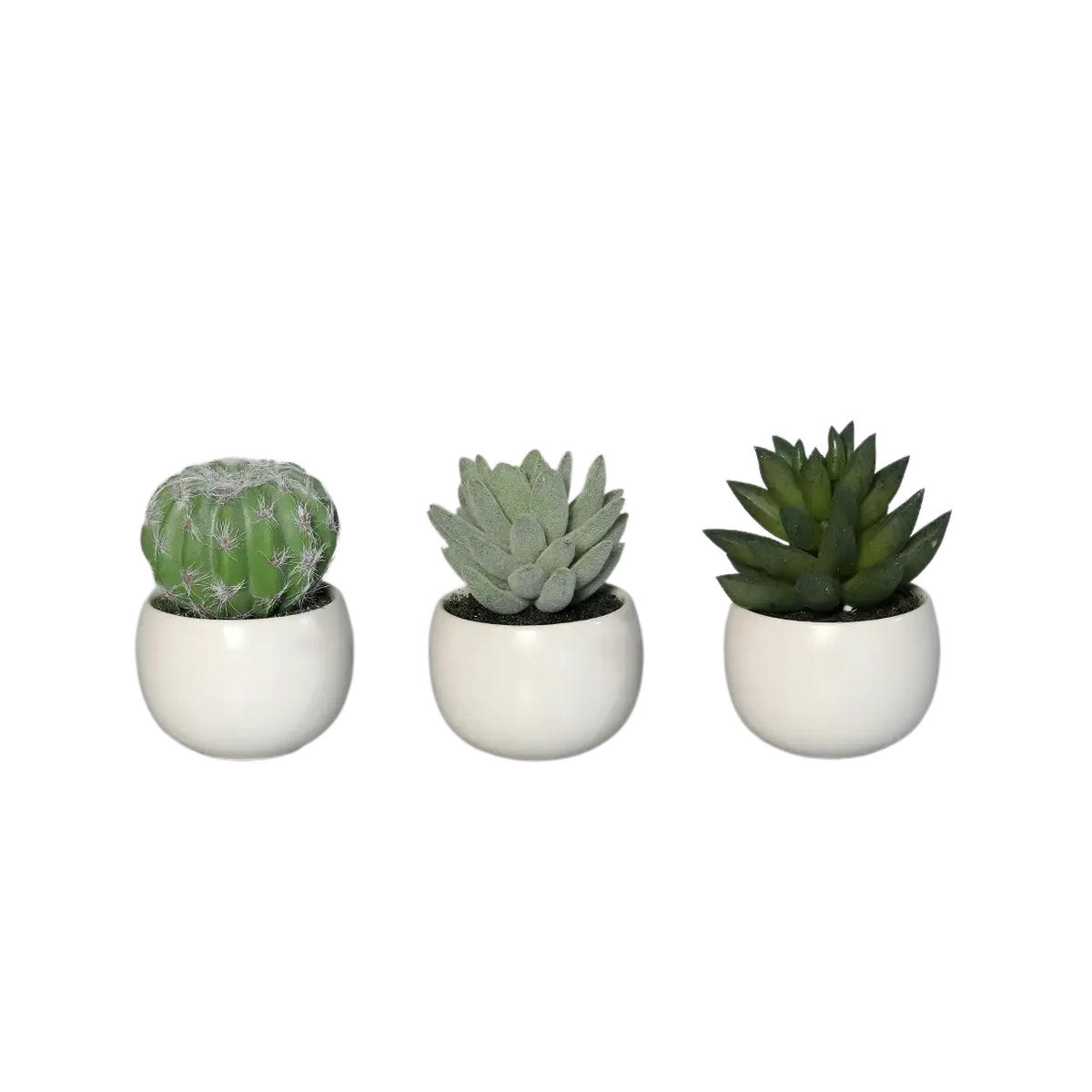 KUNSTPFLANZE Künstliche Sukkulenten Kaketeen 3 Stück - Bambo 8 cm, weißer Keramiktopf - Grün, Kunststoff (8cm) - aplanta