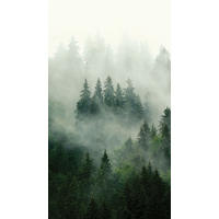 FOTOTAPETE Berglandschaft mit Bäumen 270 x 150 cm - Grün, Papier (270/150cm) - Sanders & Sanders