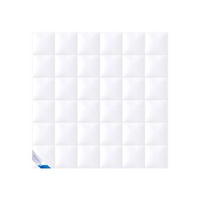 WINTERBETTDECKE KLASSIK Entendaunen warm - Weiß, Naturmaterialien/Textil (200/200cm) - Böhmerwald