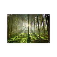 GARTEN-POSTER 90x60 cm Wald - Grün, Kunststoff (90/60/2cm) - artissimo