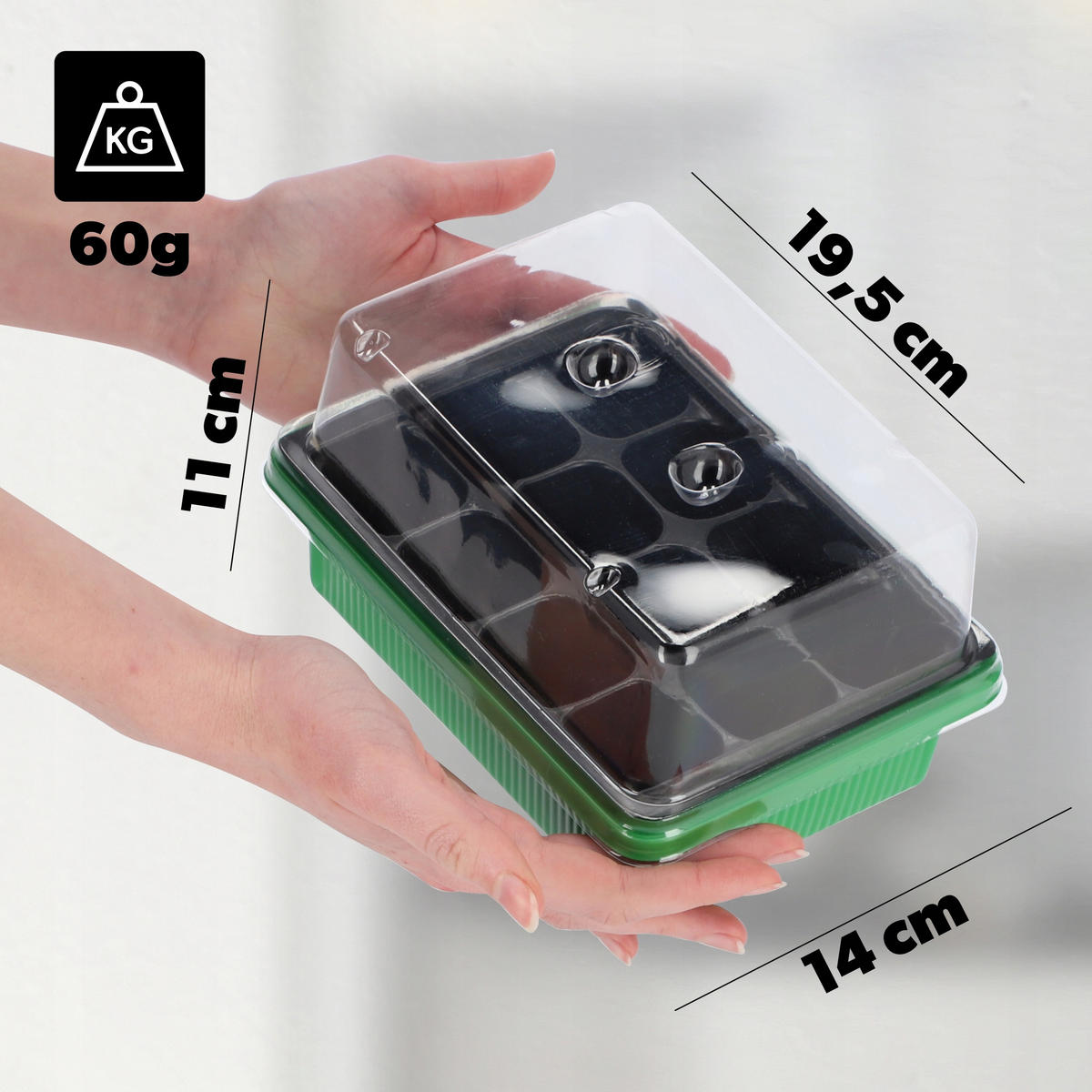 GEWÄCHSHAUS, 19 x 14 cm, Grün - Grün, Kunststoff - KADAX