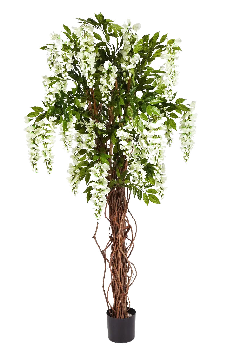 KUNSTBAUM Künstliche Wisteria Liana - Ria 180 cm - Weiß, Kunststoff (180cm) - aplanta