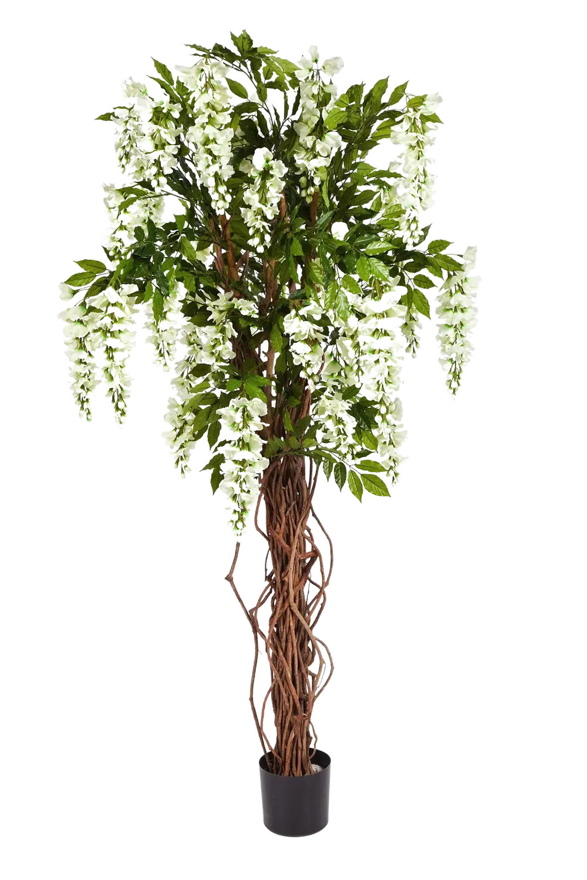 BLAUREGEN Künstliche Wisteria Liana - Ria 180 cm - Weiß, Kunststoff (180cm) - aplanta