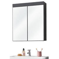 SPIEGELSCHRANK grau Hochglanz 60 x 77 cm 2-türig, Badschrank modern - Grau, Glas/Holzwerkstoff (60/77/17cm) - Top.Furn