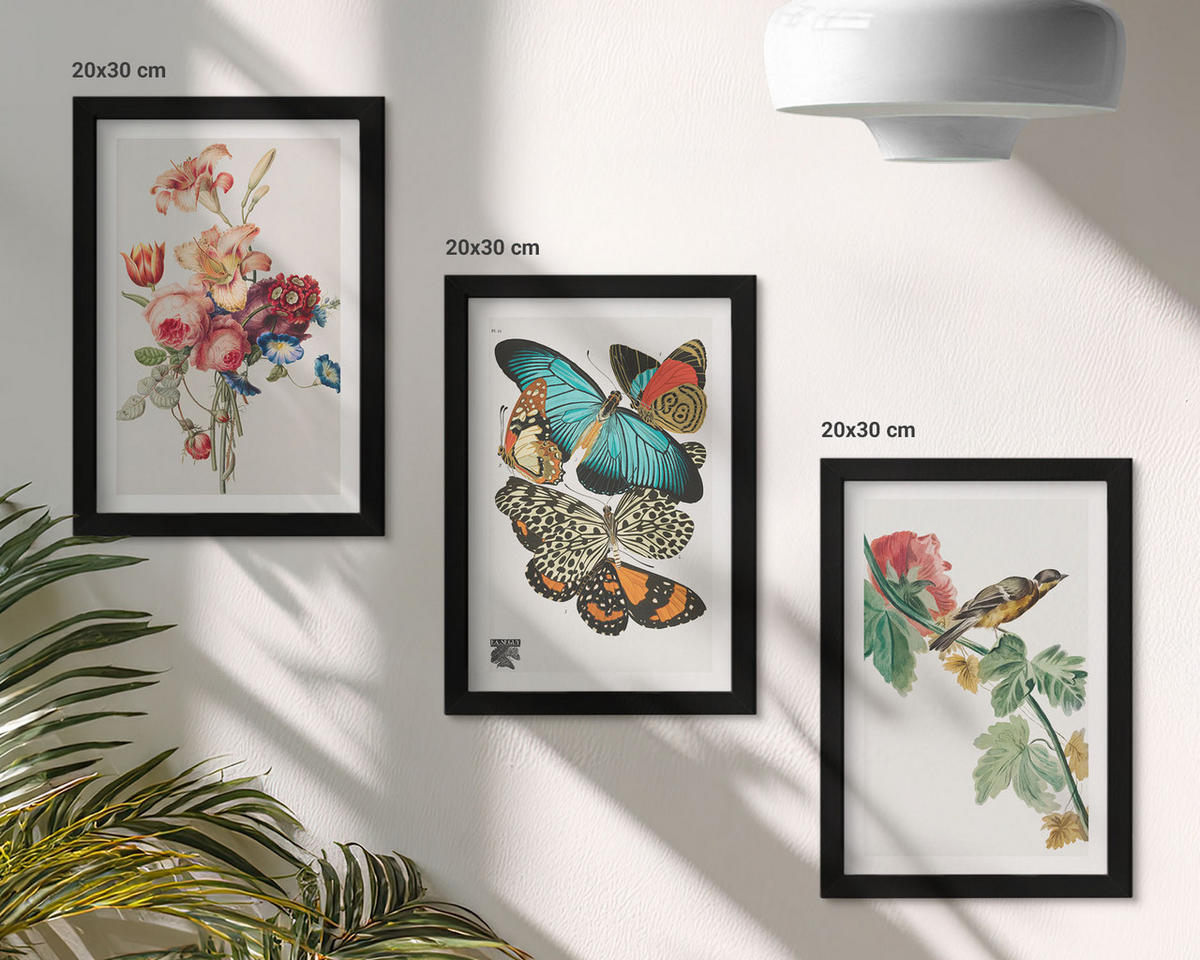 WANDBILDER 3er-Set - 20x30 cm Schwarzer Rahmen - Blumen, Schmetterlinge, Vögel, Pastellfarben - Schwarz, Kunststoff (20/30cm) - ArtPrintCave
