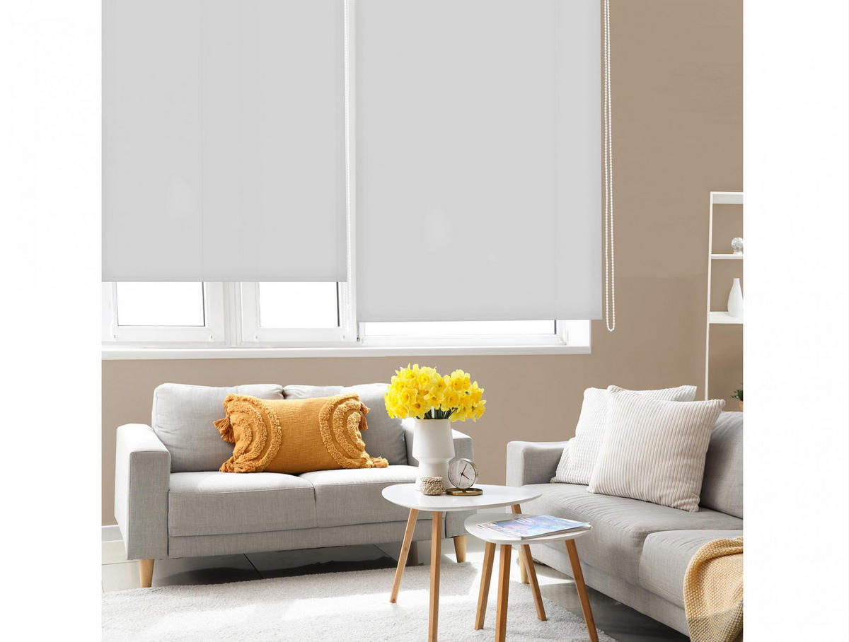 ROLLO Polyester Transluzent Silber 120x250 - Silberfarben, Textil (120/250/1cm) - Purline
