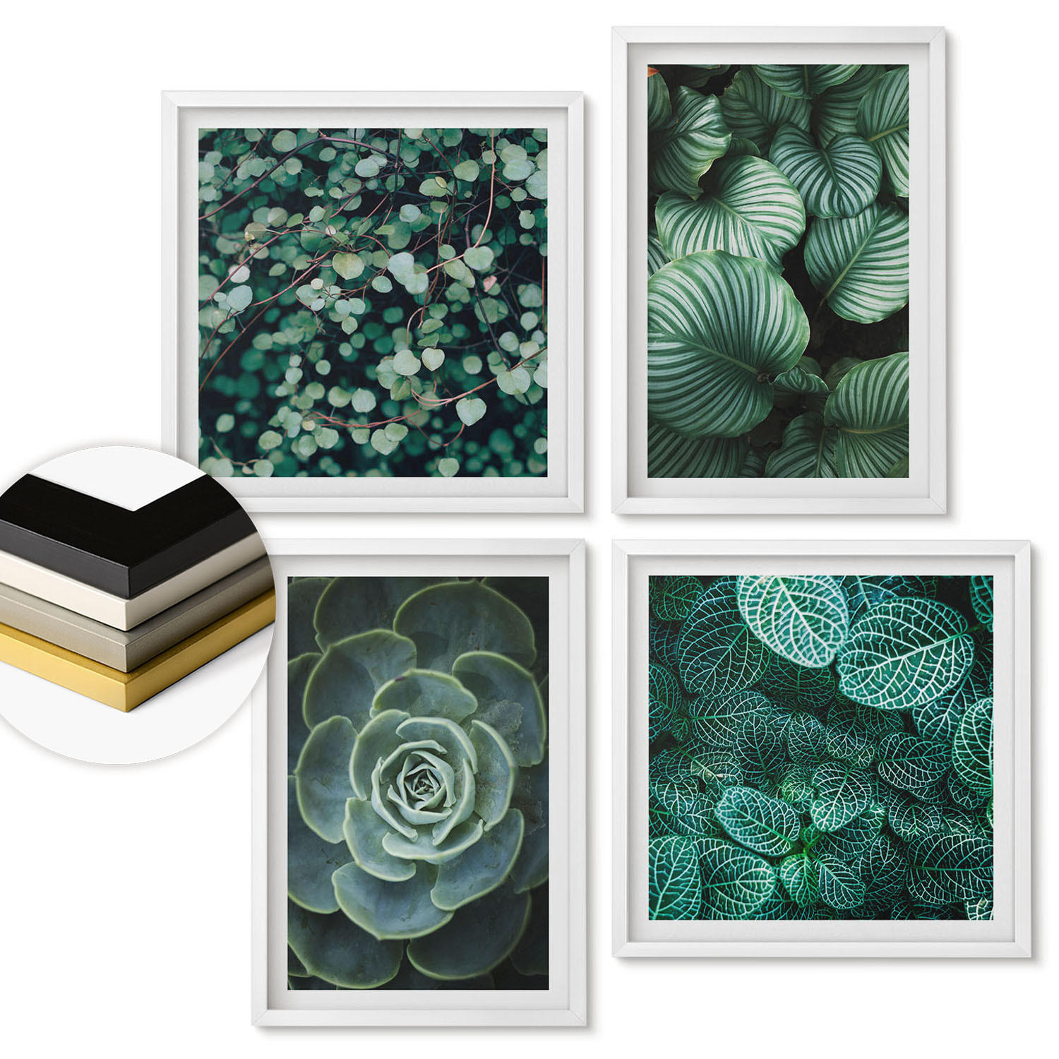 WANDBILDER 4er-Set - 50x50 cm & 40x60 cm Weißer Rahmen - Grüne, saftige Blätter - Weiß, Kunststoff (50/50cm) - ArtPrintCave