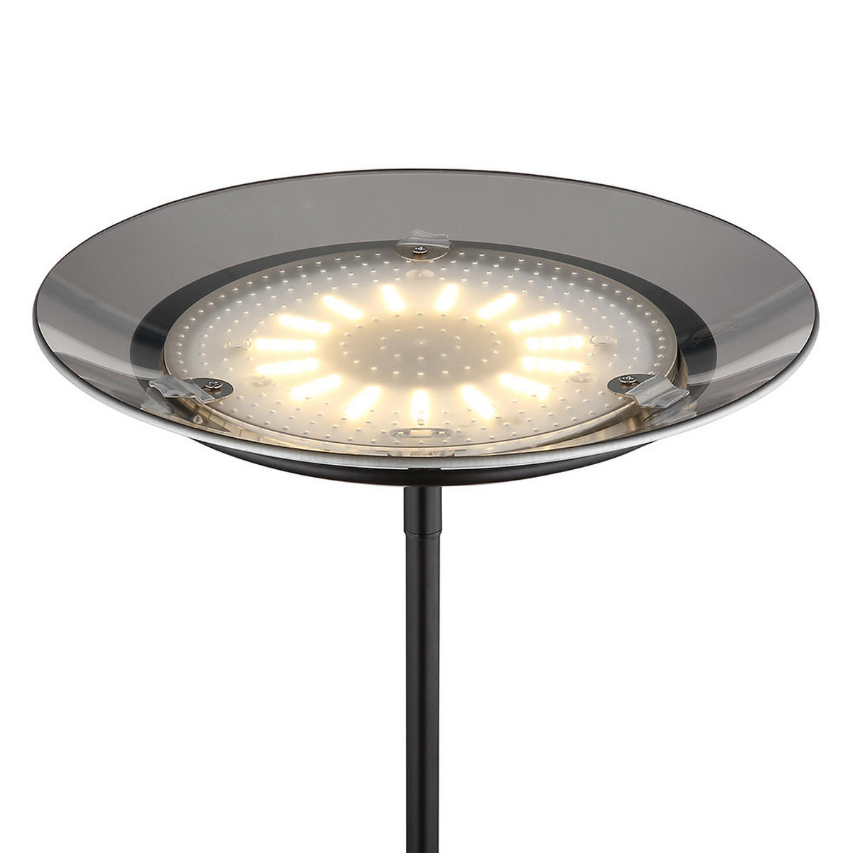 LED STEHLEUCHTE Metall Grau Rauchoptik - Grau, Glas (57/57/178.5cm) - Globo Lighting