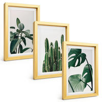 BILDER SET 3er Set - 20x30 cm Goldrahmen - Tropische ästhetische Pflanzen - Goldfarben, Kunststoff (20/30cm) - TULUP