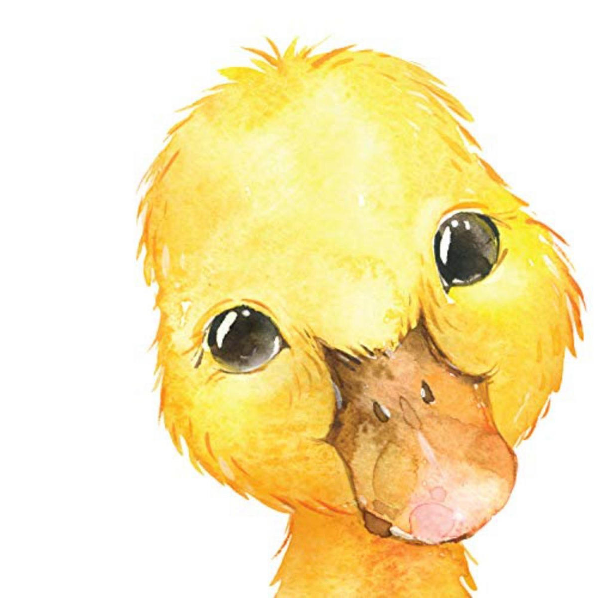 POSTER Set mit 4 Ente Schwein und Ziege Fuchs A4 Rahmenlos - Klar, Papier (29.7/3cm) - Nacnic