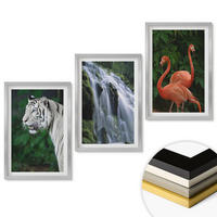 WANDBILDER 3er Set - 40x60 cm Silberner Rahmen - Tiger Wasserfall Flamingos Natur - Silberfarben, Kunststoff (40/60cm) - ArtPrintCave