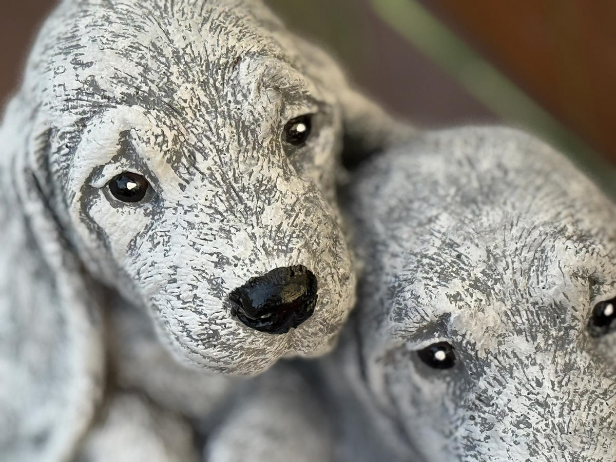 STEINFIGUR Basset Hounds frostfester Steinguss Gartenfigur - Dunkelgrau, Stein (24/16/24cm) - stoneandstyle