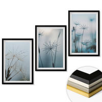WANDBILDER 3er-Set - 40x60 cm Schwarzer Rahmen - Löwenzahn mit Wassertropfen - Schwarz, Kunststoff (40/60cm) - ArtPrintCave