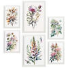 POSTER Set Mit 6 Waldblume Größe A3 & A4 Weißer Rahmen - Weiß, Papier (29.7/1cm) - Nacnic