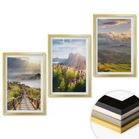 WANDBILDER 3er Set - 40x60 cm Goldrahmen - Berglandschaft mit Blumen - Goldfarben, Kunststoff (40/60cm) - ArtPrintCave