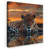LEINWANDBILD Natur - Leopard - Tier - Sonnenuntergang - Modern Deko Wohnzimmer 20x20 cm - Orange, Textil (20/20cm) - MuchoWow